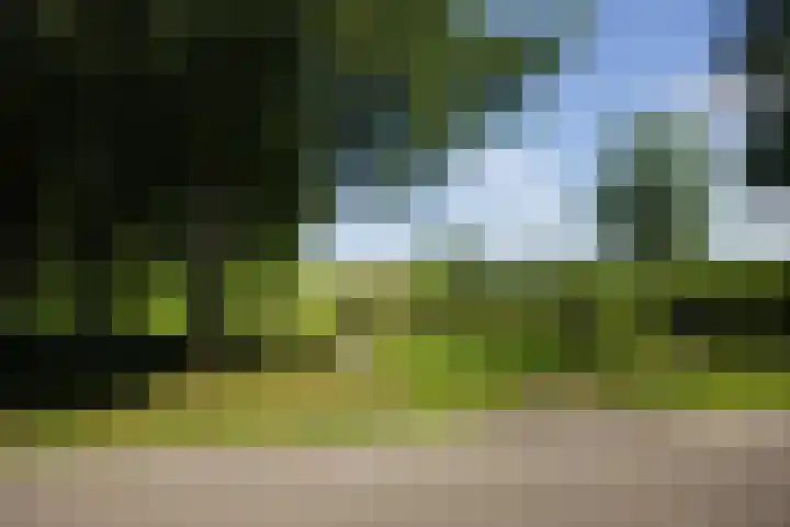 Molenaarslaan 22 Nieuw-Schoonebeek thumbnail 44