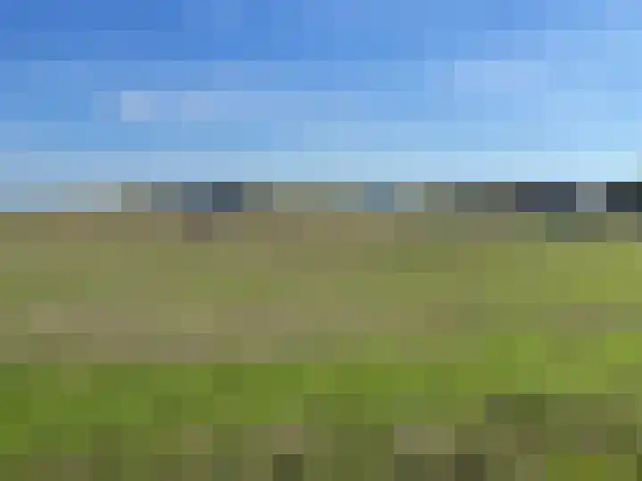 Molenaarslaan 22 Nieuw-Schoonebeek thumbnail 45