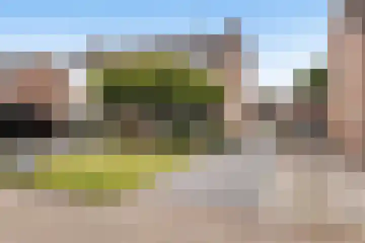 Molenaarslaan 22 Nieuw-Schoonebeek thumbnail 5