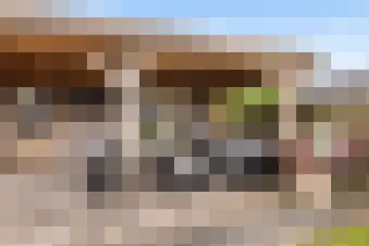 Molenaarslaan 22 Nieuw-Schoonebeek thumbnail 8