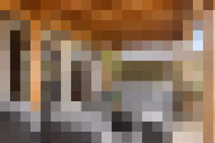 Molenaarslaan 22 Nieuw-Schoonebeek thumbnail 9