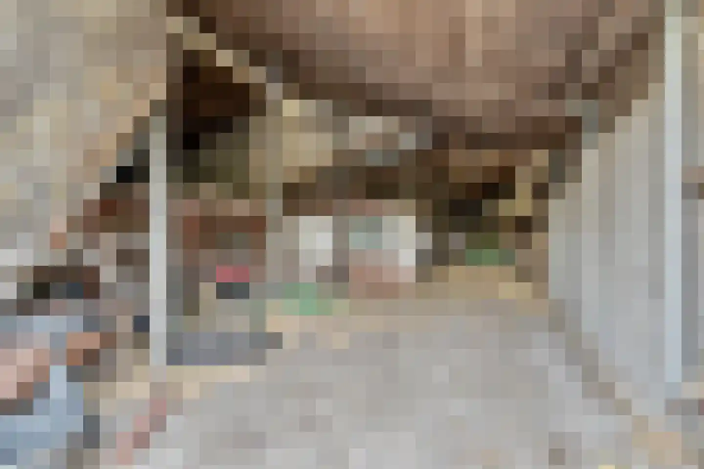 Molenaarsstraat 10 A Etten-Leur thumbnail 9