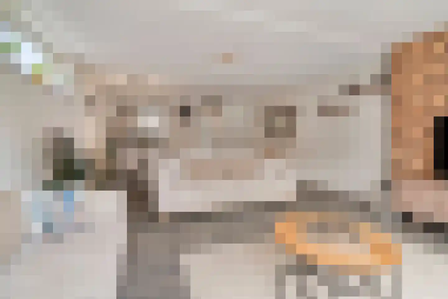 Molenaarstraat 1 Delfgauw thumbnail 10