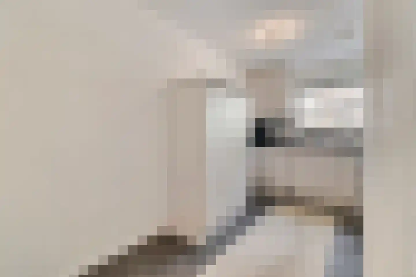 Molenaarstraat 1 Delfgauw thumbnail 17
