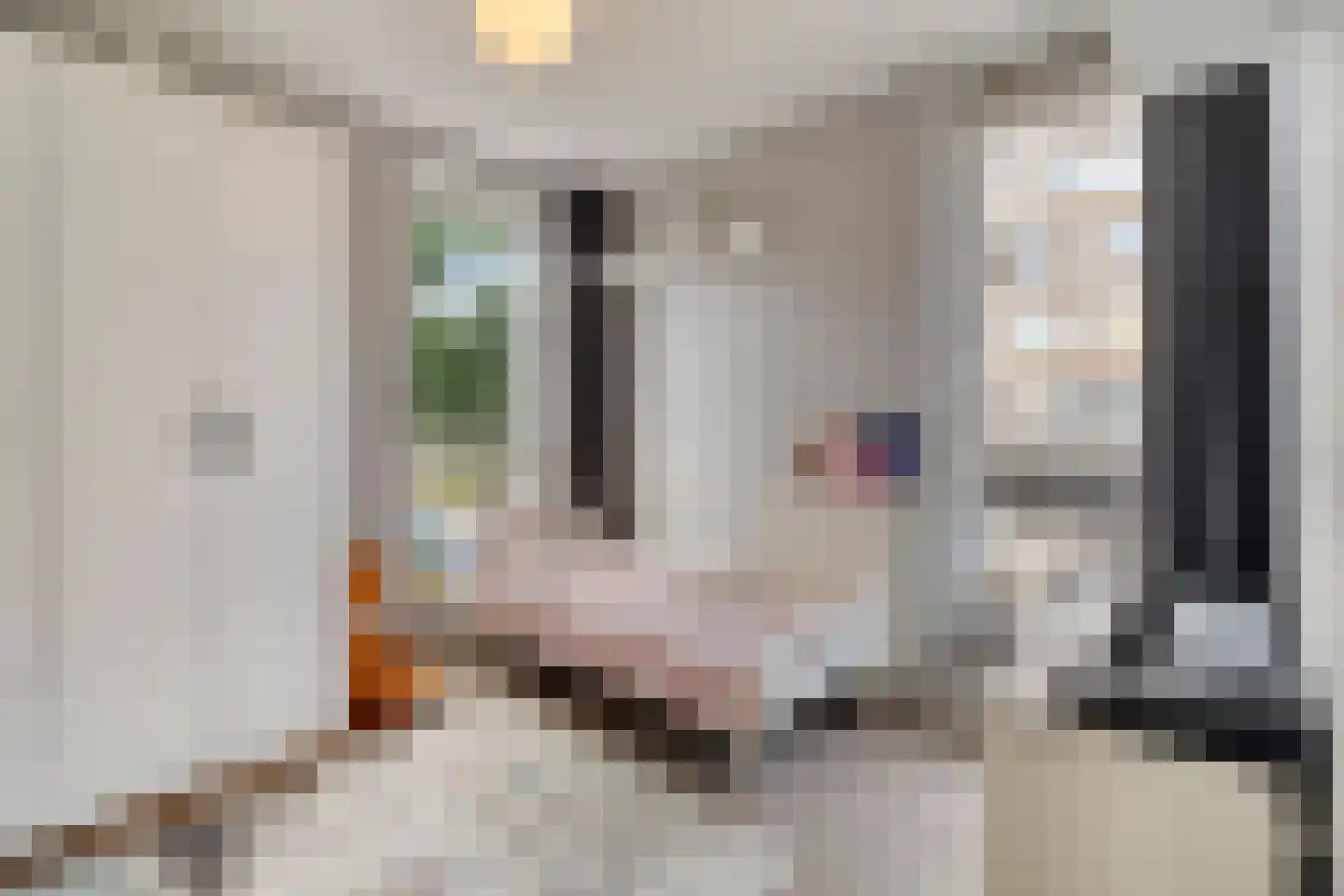 Molenaarstraat 1 Delfgauw thumbnail 22