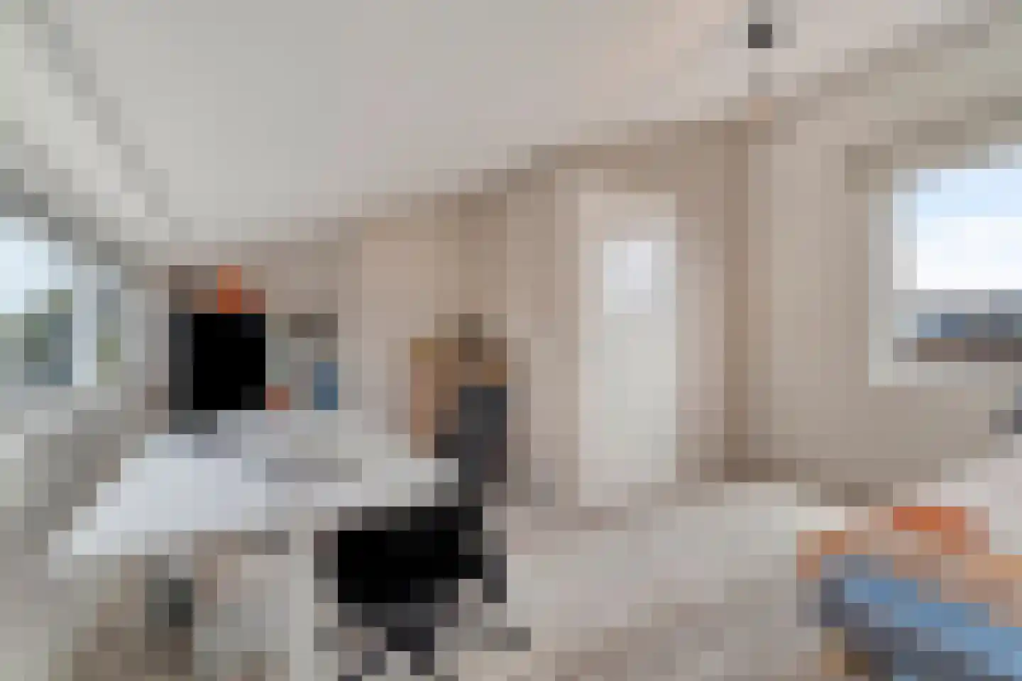 Molenaarstraat 1 Delfgauw thumbnail 26