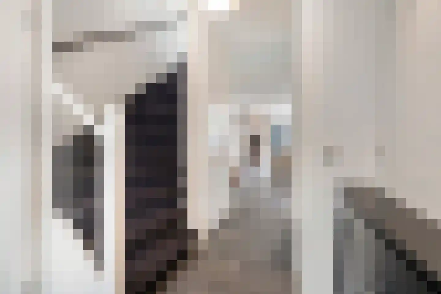 Molenaarstraat 1 Delfgauw thumbnail 6