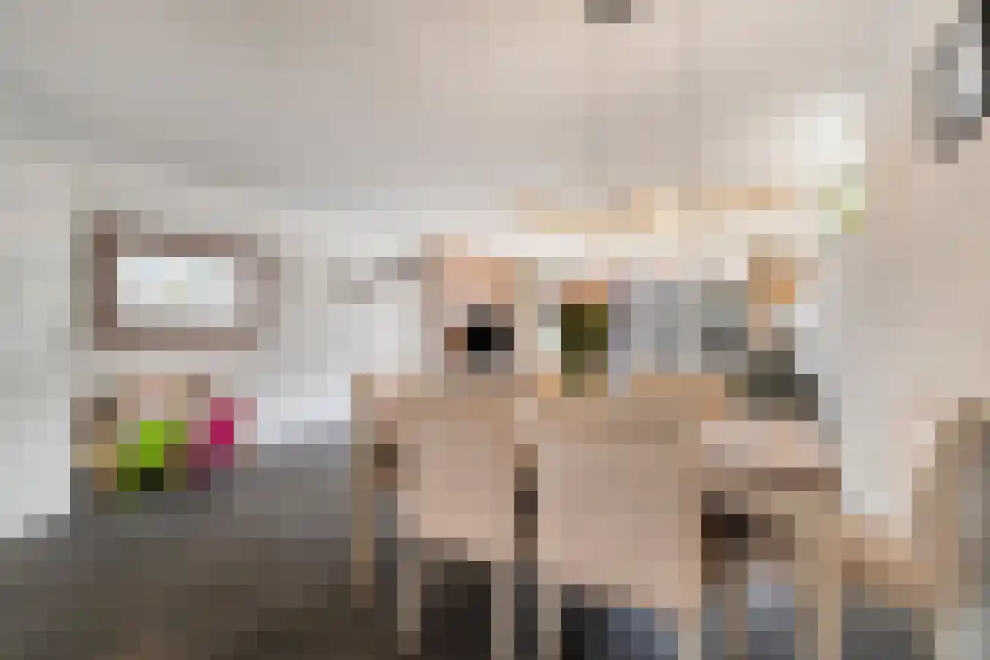 Molenaarstraat 1 Delfgauw thumbnail 8