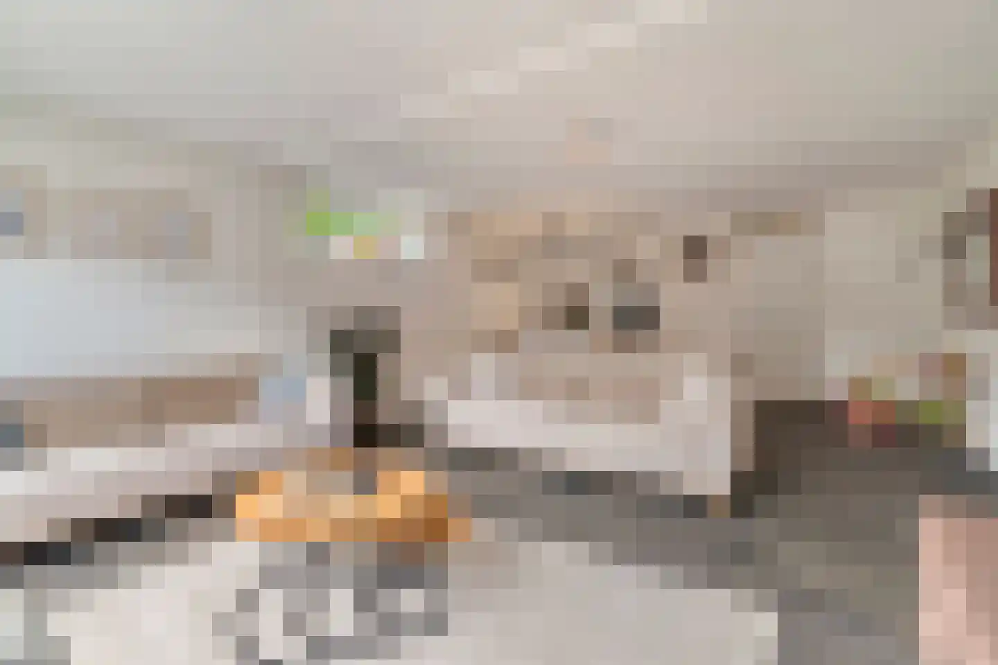 Molenaarstraat 1 Delfgauw thumbnail 9