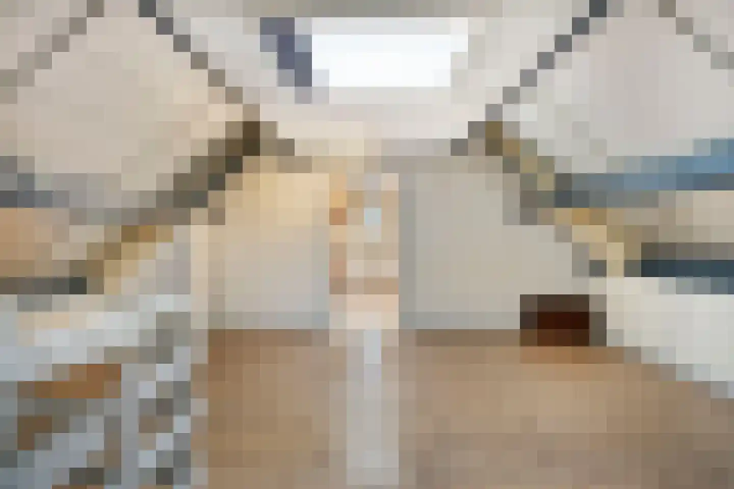 Molenaarstraat 142 Schaijk thumbnail 32