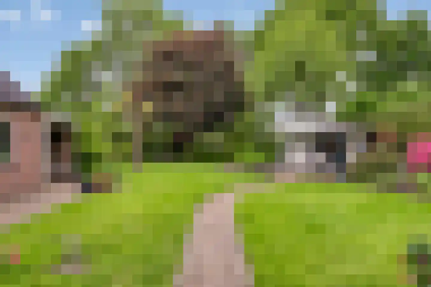 Molenaarstraat 142 Schaijk thumbnail 37