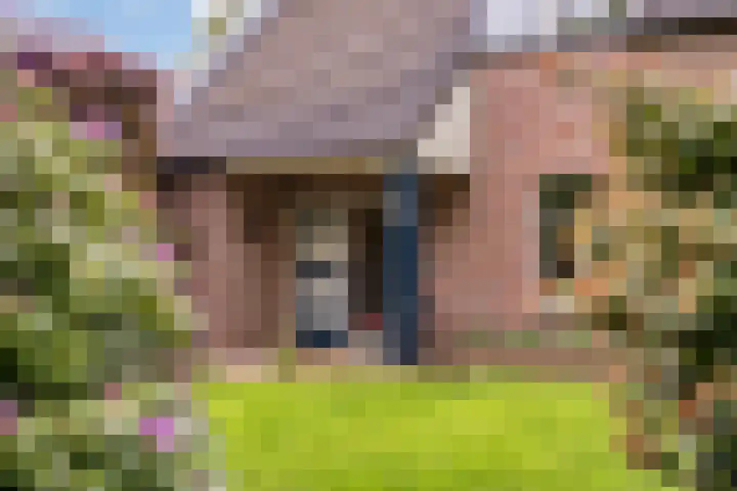Molenaarstraat 142 Schaijk thumbnail 5