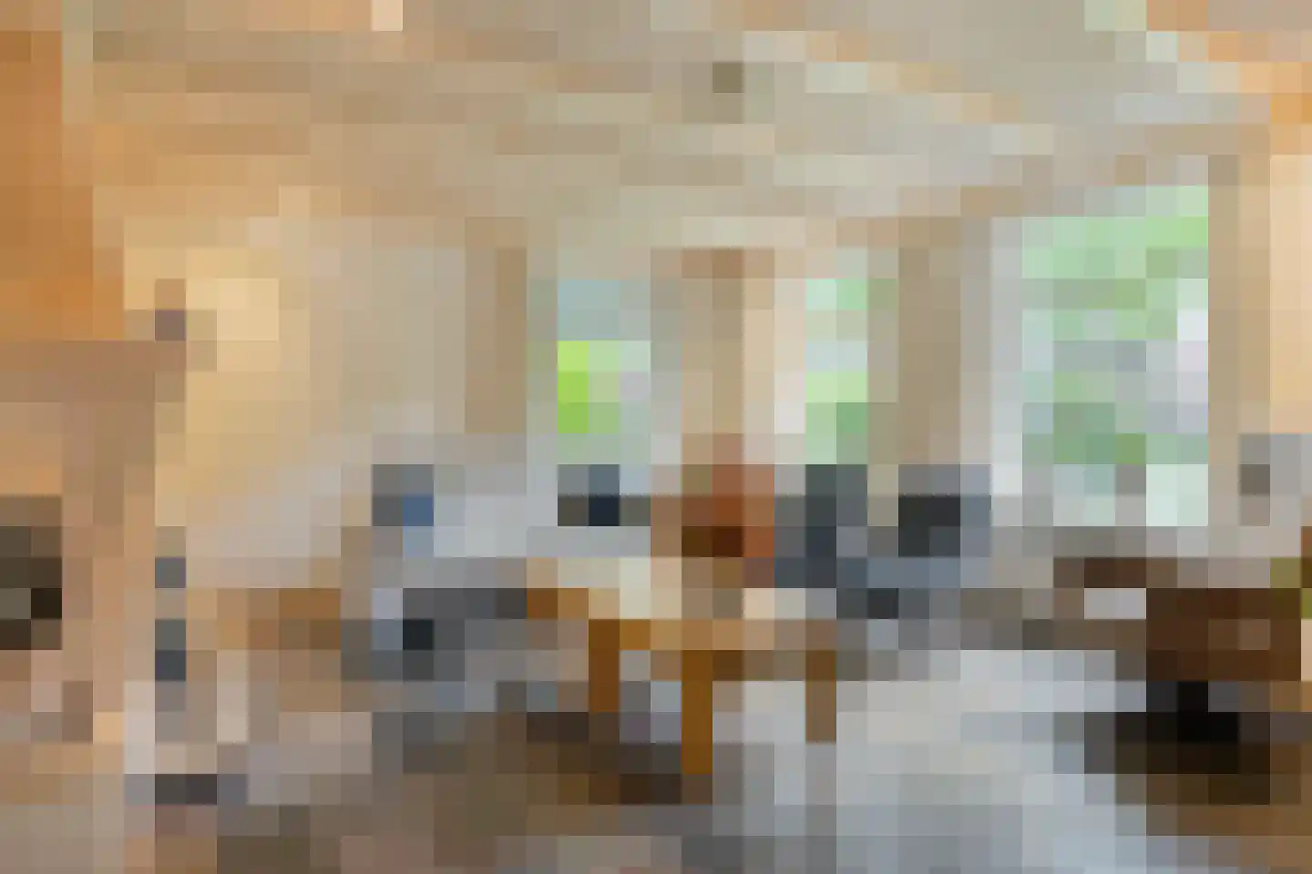 Molenaarstraat 142 Schaijk thumbnail 8