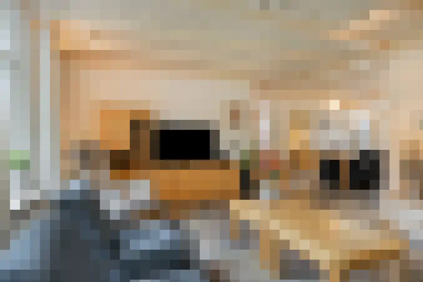 Molenaarstraat 142 Schaijk thumbnail 9