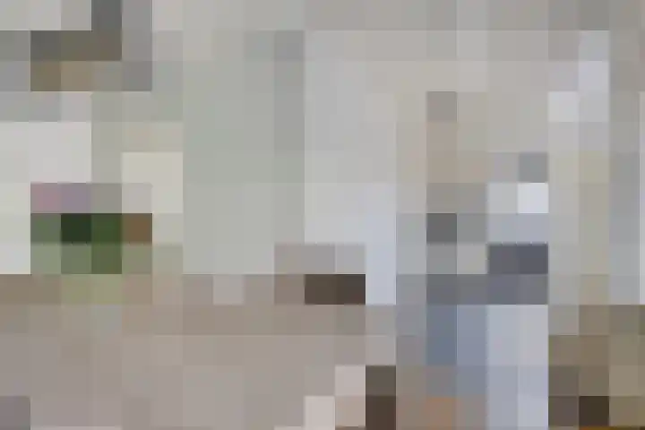 Molenaarstraat 15 Schaijk thumbnail 10