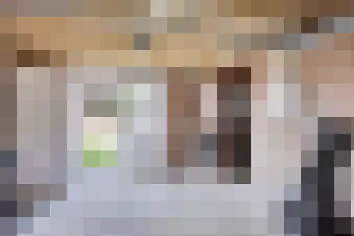 Molenaarstraat 15 Schaijk thumbnail 35