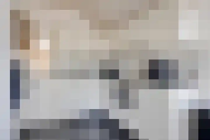 Molenaarstraat 15 Schaijk thumbnail 4
