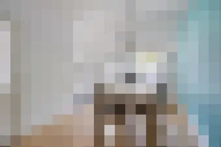 Molenaarstraat 15 Schaijk thumbnail 8