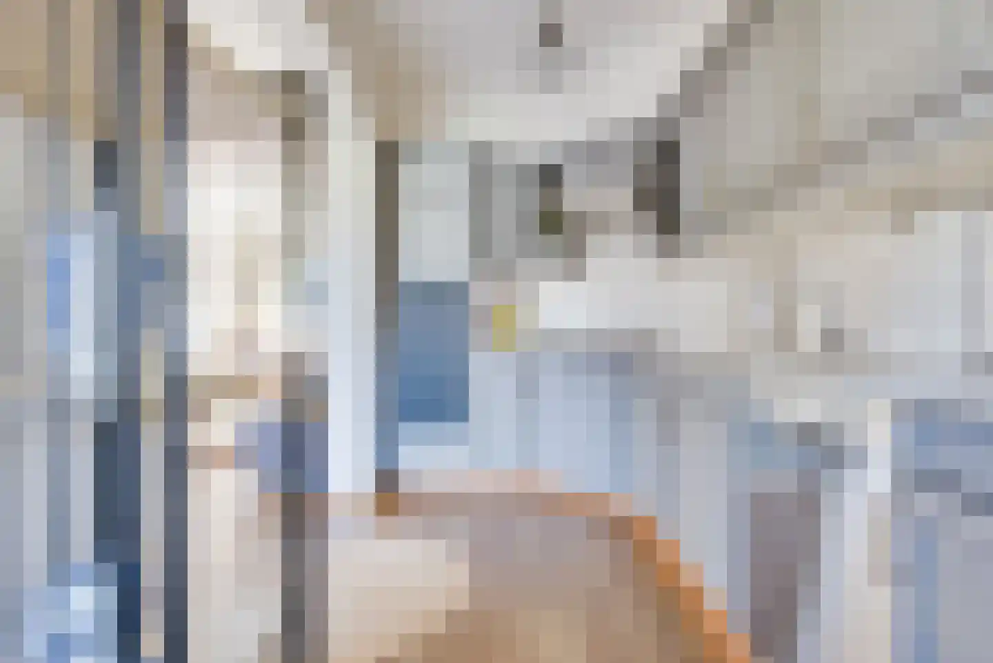 Molenacker 19 Diessen thumbnail 21