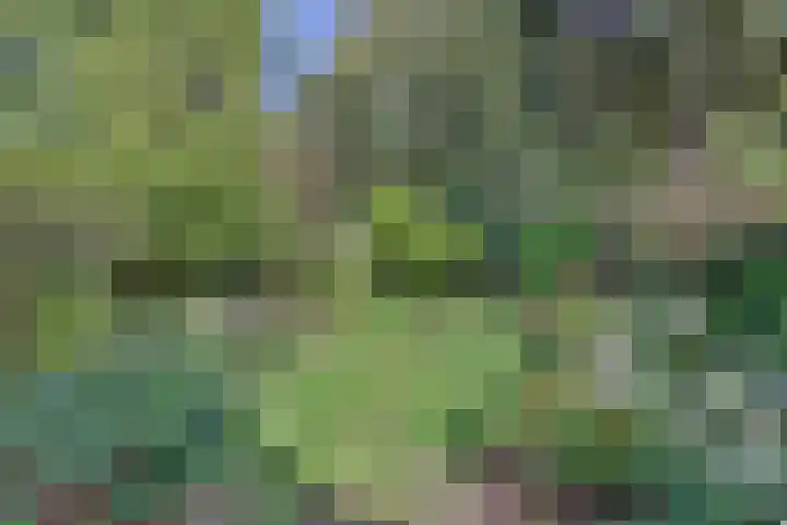 Molenacker 68 Oisterwijk thumbnail 28