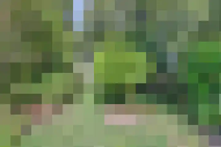Molenacker 68 Oisterwijk thumbnail 29