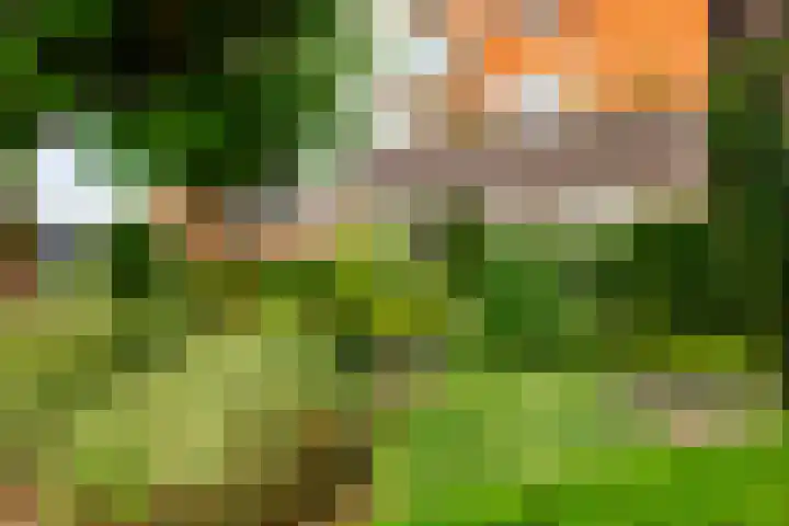 Molenacker 68 Oisterwijk thumbnail 8