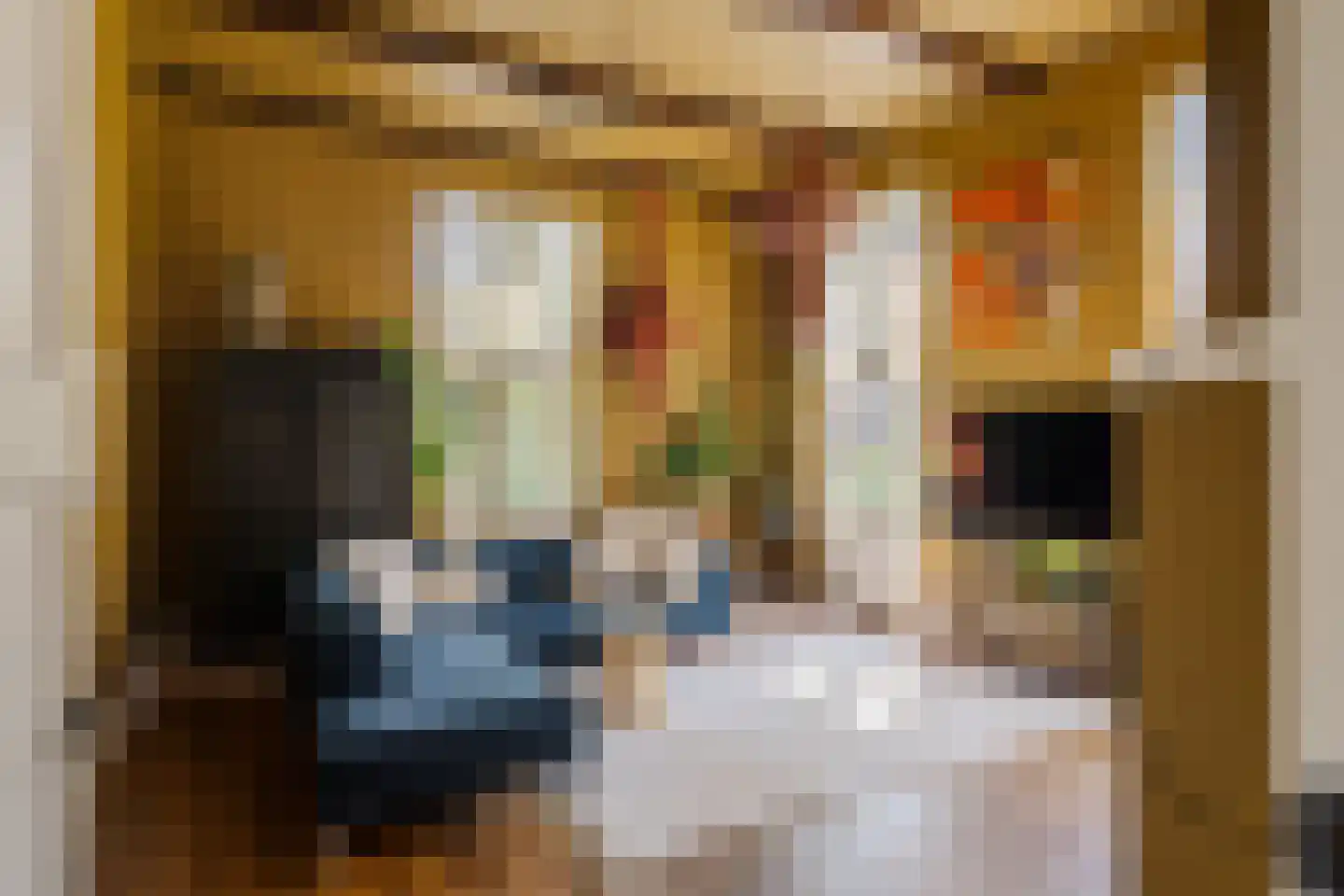 Molenaerstraat 20 Haarlem thumbnail 20