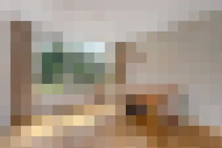Molenakker 1 Bavel thumbnail 10