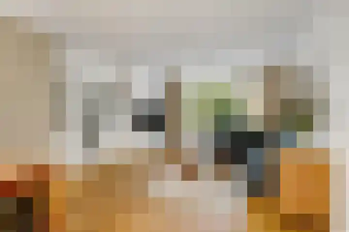 Molenakker 1 Bavel thumbnail 12
