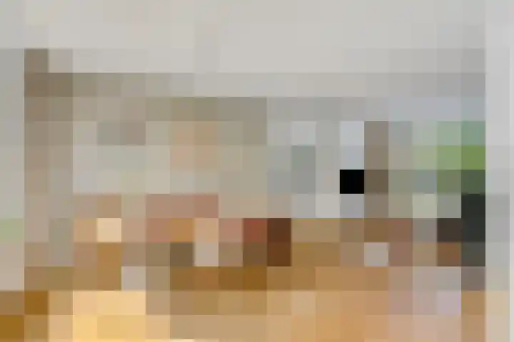 Molenakker 1 Bavel thumbnail 14