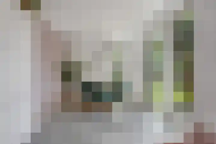 Molenakker 1 Bavel thumbnail 15