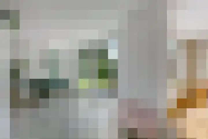 Molenakker 1 Bavel thumbnail 16