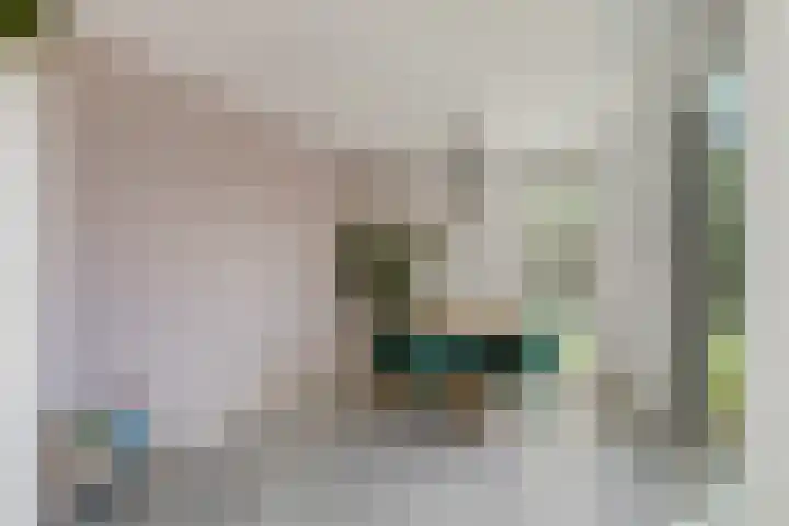Molenakker 1 Bavel thumbnail 17