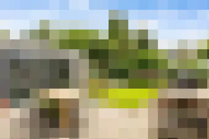 Molenakker 1 Bavel thumbnail 18