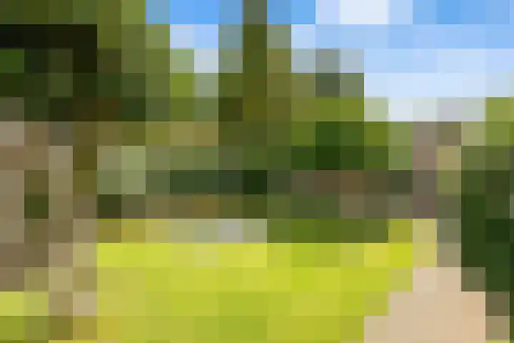 Molenakker 1 Bavel thumbnail 19
