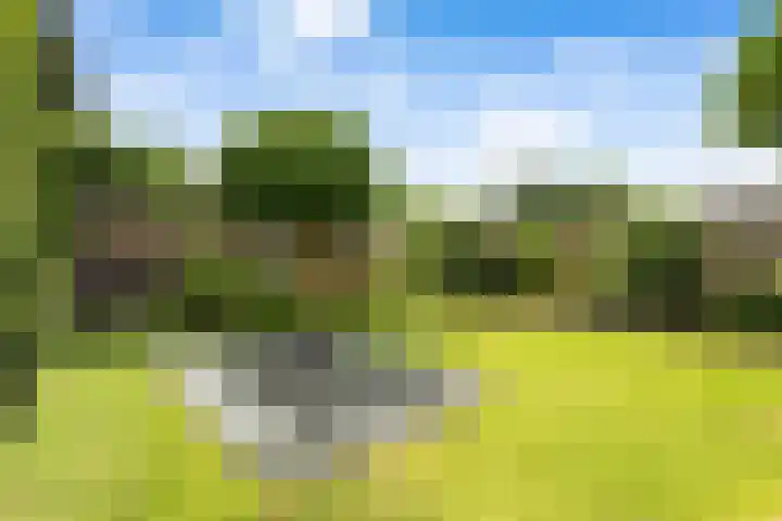 Molenakker 1 Bavel thumbnail 20