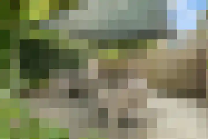 Molenakker 1 Bavel thumbnail 21
