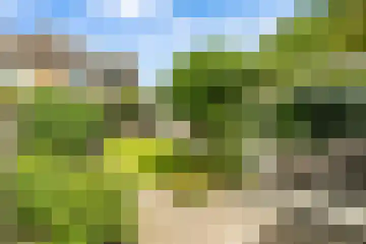 Molenakker 1 Bavel thumbnail 22