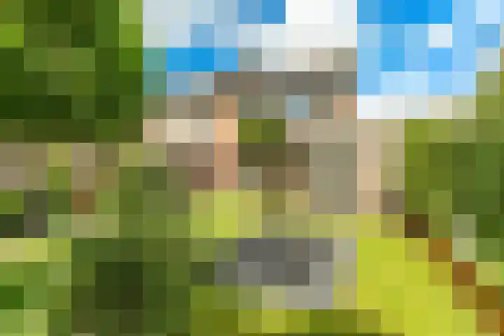Molenakker 1 Bavel thumbnail 23