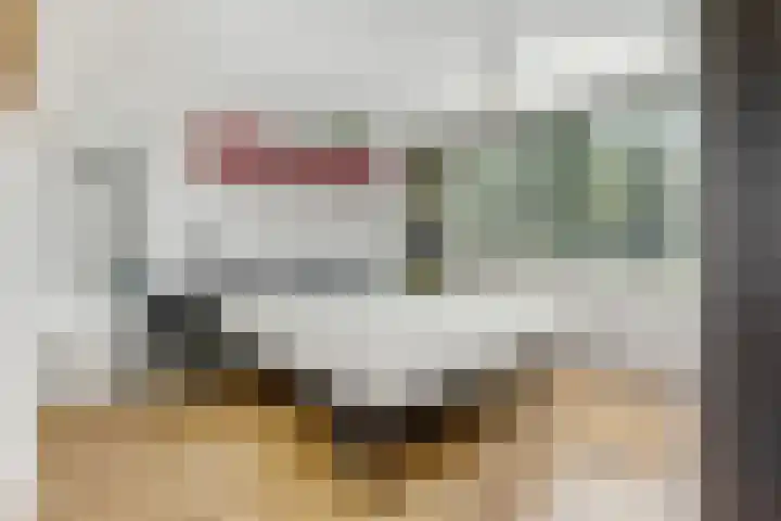 Molenakker 1 Bavel thumbnail 24