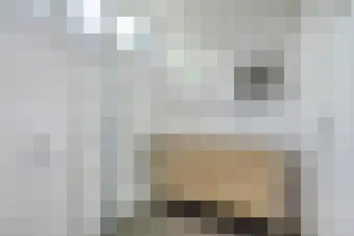 Molenakker 1 Bavel thumbnail 28