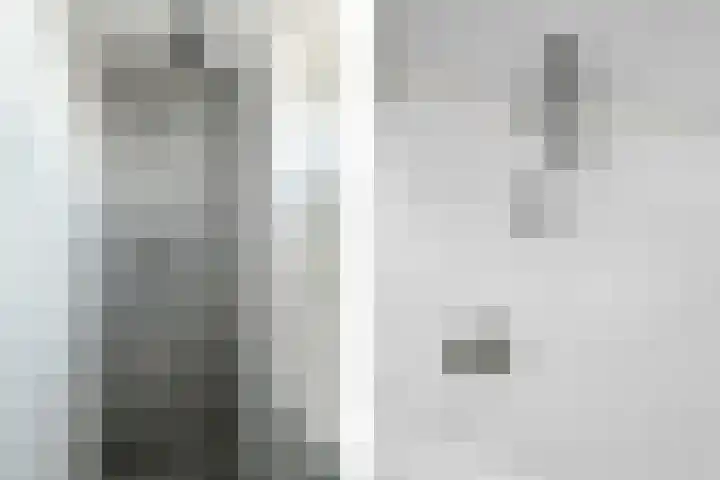 Molenakker 1 Bavel thumbnail 29