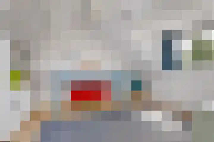 Molenakker 1 Bavel thumbnail 31