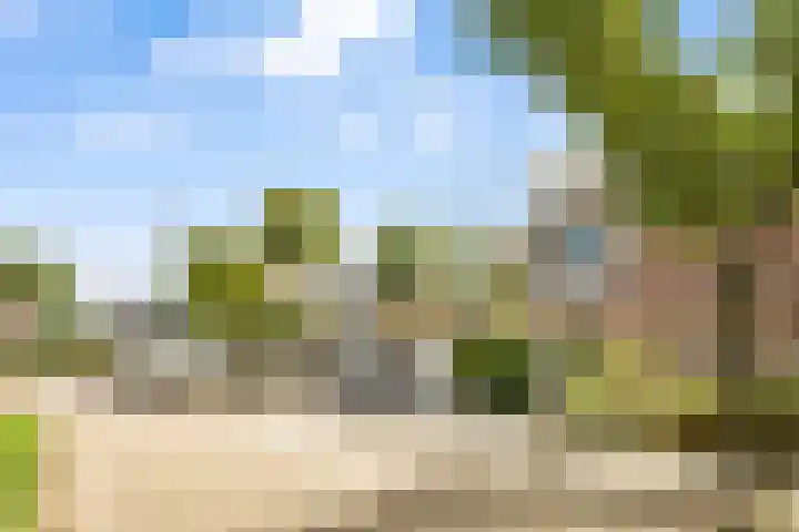 Molenakker 1 Bavel thumbnail 32