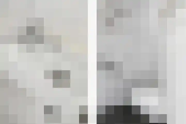 Molenakker 1 Bavel thumbnail 5