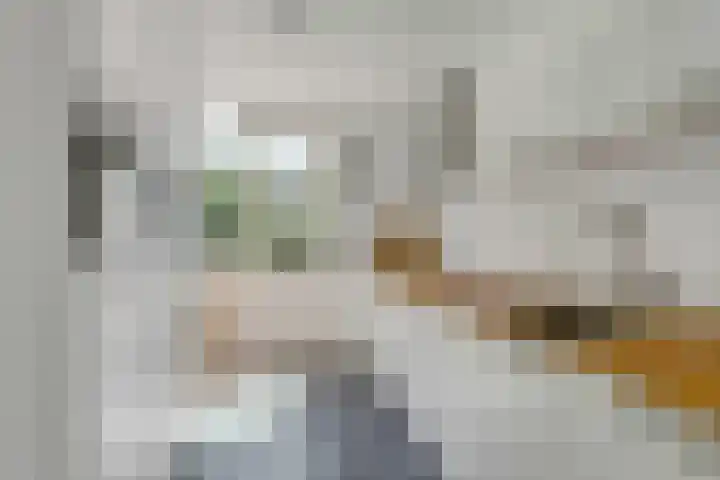 Molenakker 1 Bavel thumbnail 6