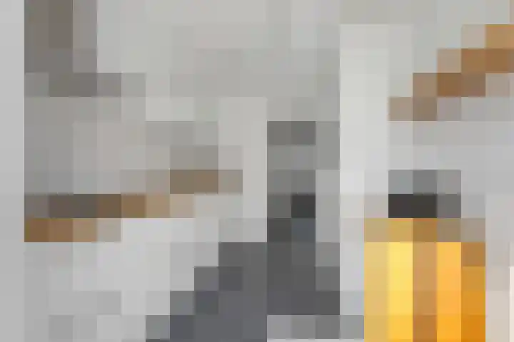 Molenakker 1 Bavel thumbnail 7