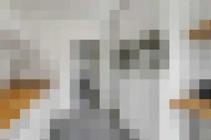 Molenakker 1 Bavel thumbnail 8