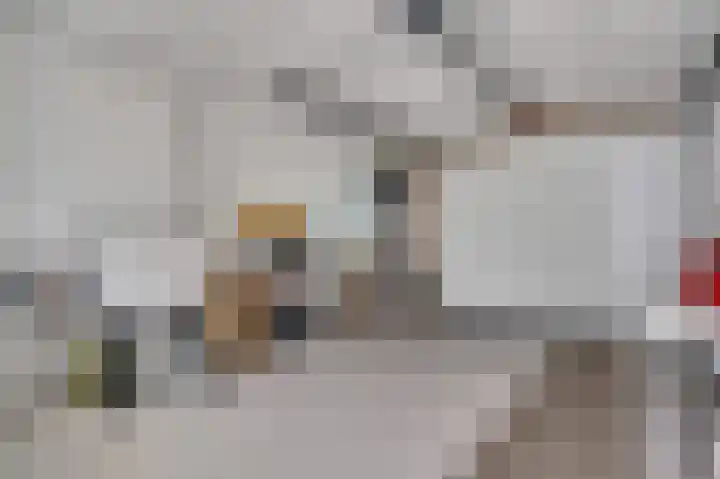 Molenakker 1 Roermond thumbnail 25