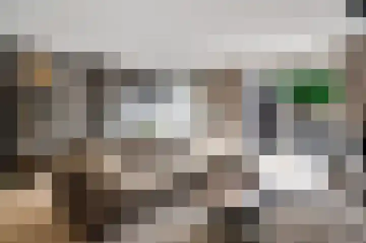 Molenakker 1 Roermond thumbnail 5